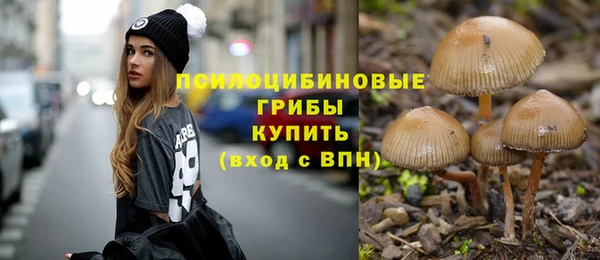 mix Дмитров