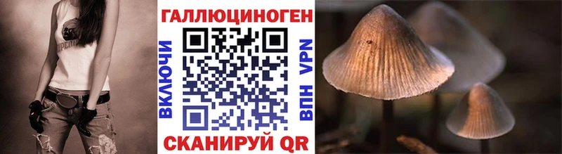 Псилоцибиновые грибы прущие грибы это состав Наволоки ссылка на мегу ONION