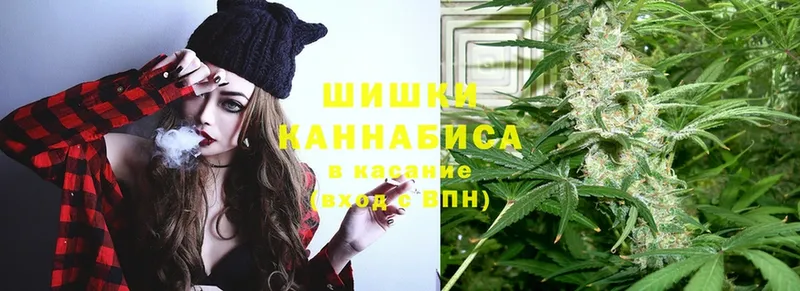 Бошки Шишки THC 21%  гидра   Наволоки 